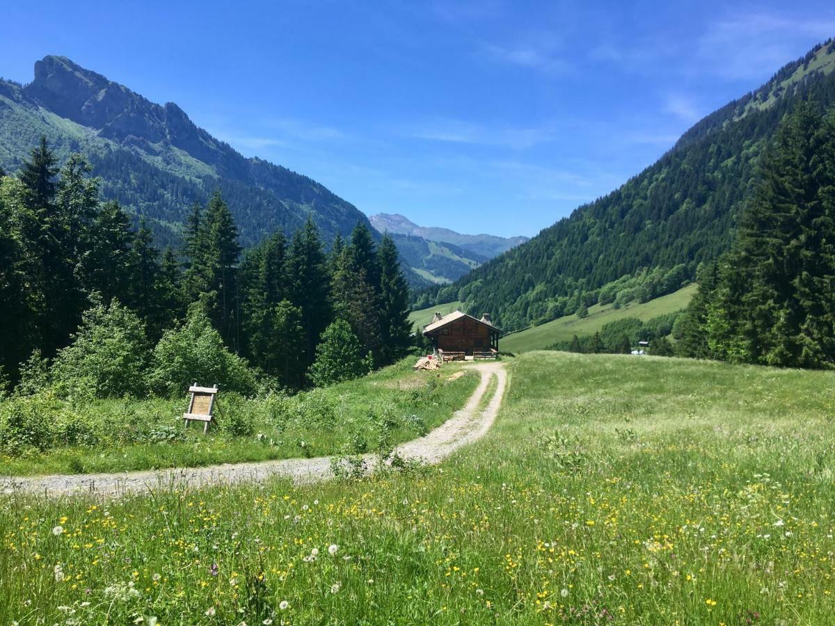 Chalet Marmotte 2 Morzine Buitenkant foto