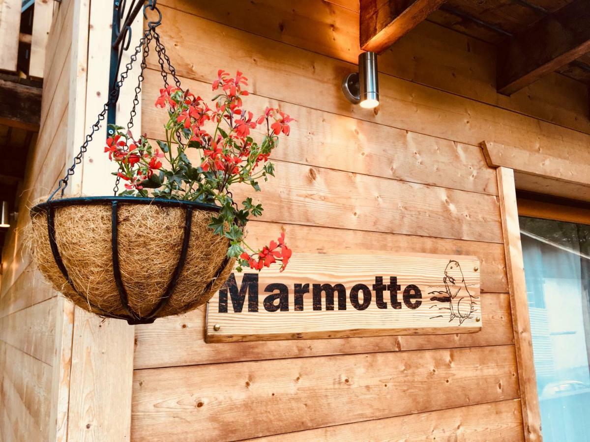 Chalet Marmotte 2 Morzine Buitenkant foto