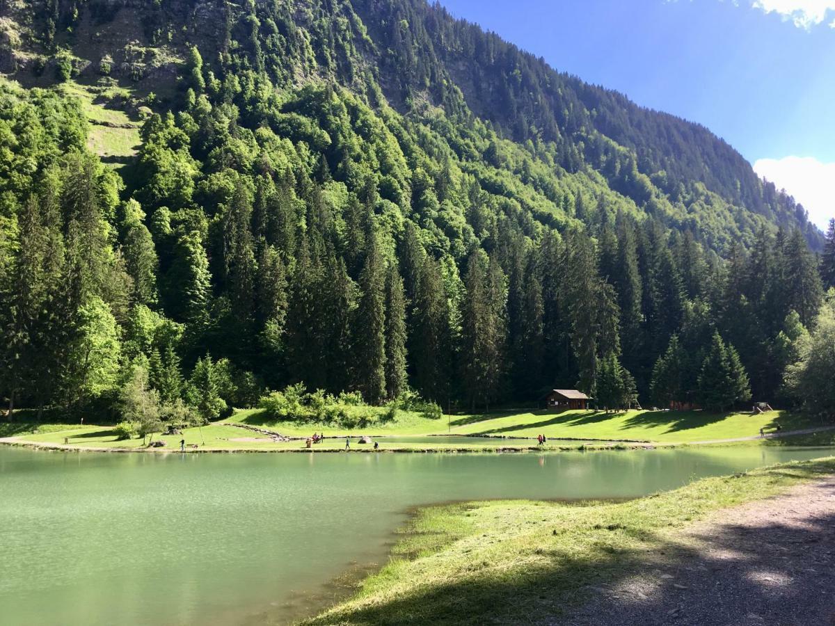Chalet Marmotte 2 Morzine Buitenkant foto